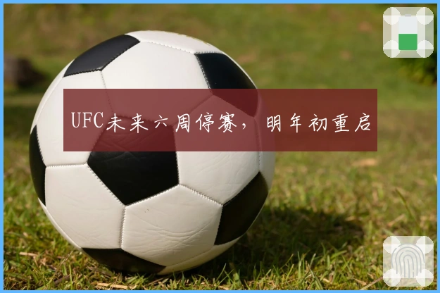 UFC未来六周停赛，明年初重启